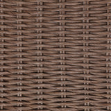 Perrie Outdoor Occasional Chair - Tanned Weave