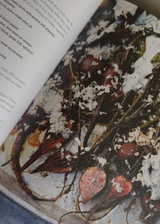 Gjelina: Cooking From Venice CA