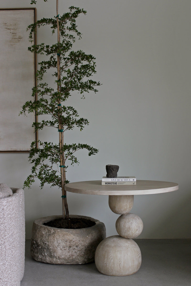 Vintage 29"x15" Stone Pot w/ 9' Black Olive Tree