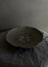 Japanese Pottery, Plate