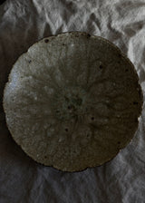 Japanese Pottery, Plate