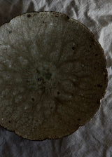 Japanese Pottery, Plate