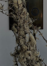 Moss Branches Large