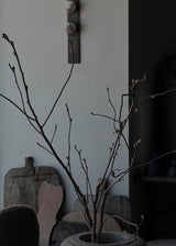 Willow Branches XL