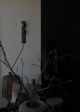 Willow Branches XL