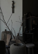 Willow Branches XL