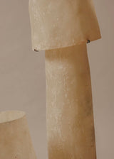 Mush Lamp, Tower