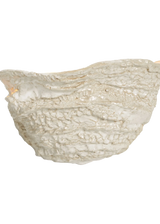 Casa Wall Light No.6