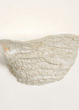 Casa Wall Light No.6