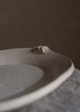 Splash Platter