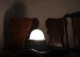 Raíz Lamp