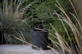 Terra Planter Natural, Black 20"Dx16"H