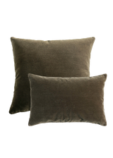 Erie Pillow, Monte Olive