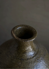 Chinese Wine Bottle Mixed