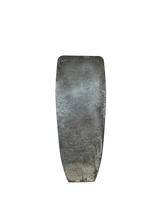 Lichen Forme Reflection