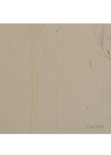 What We Learned On The Mountain by Tyler Guinn
