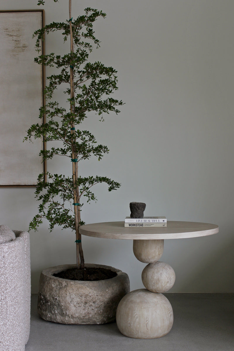 Vintage 29x15 Stone Pot w/ Black Olive Tree – Lolointeriors